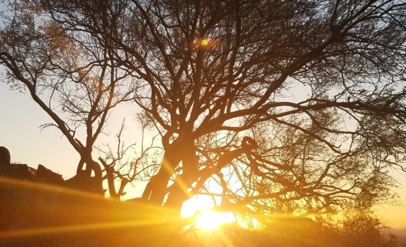 Sun Rises Sun Rises